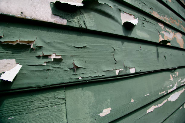 Best Appliance Removal  in Lambertville, MI