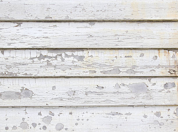 Best Construction Debris Removal  in Lambertville, MI